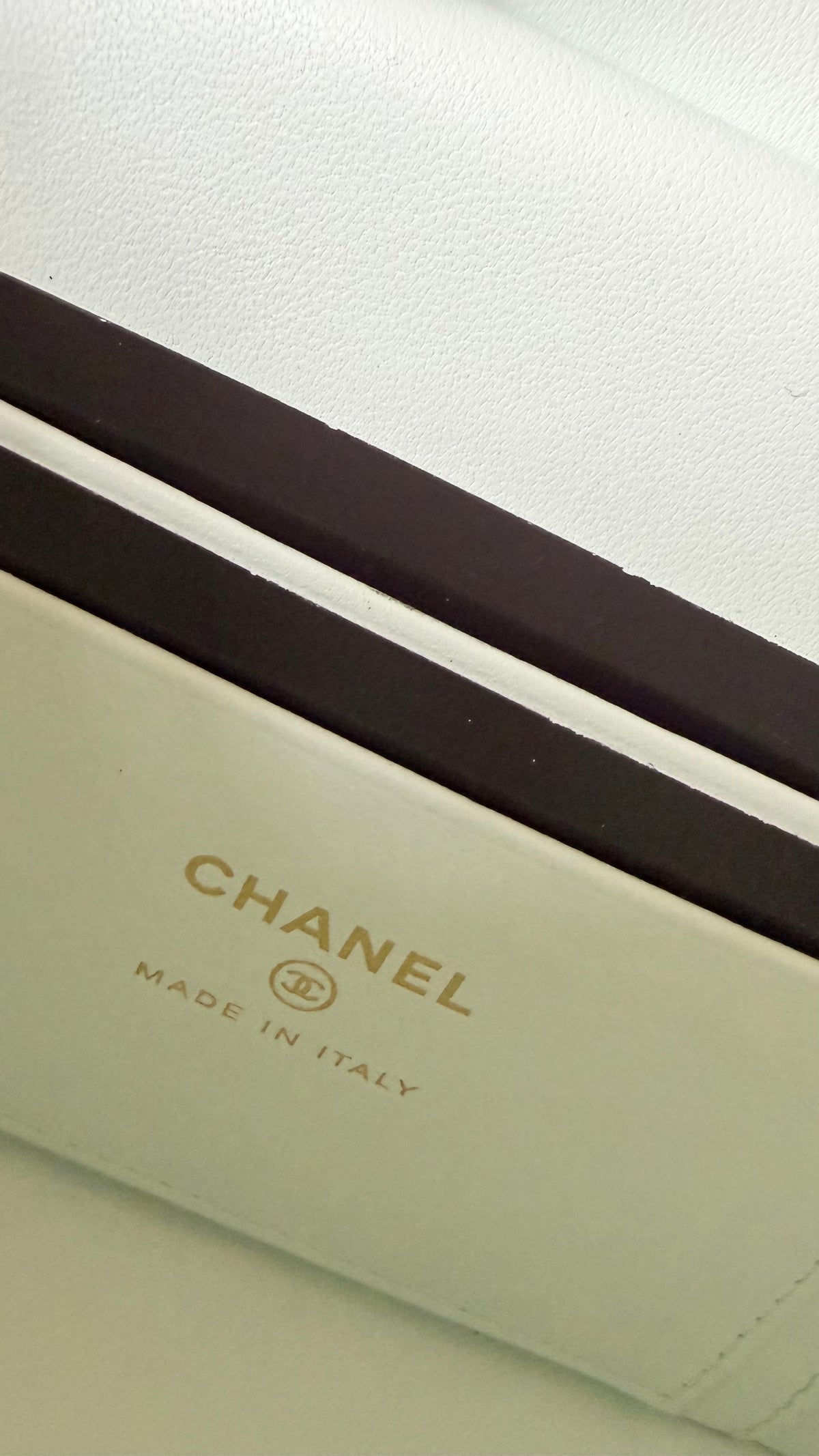 Chanel vanity mint green croco embossed print