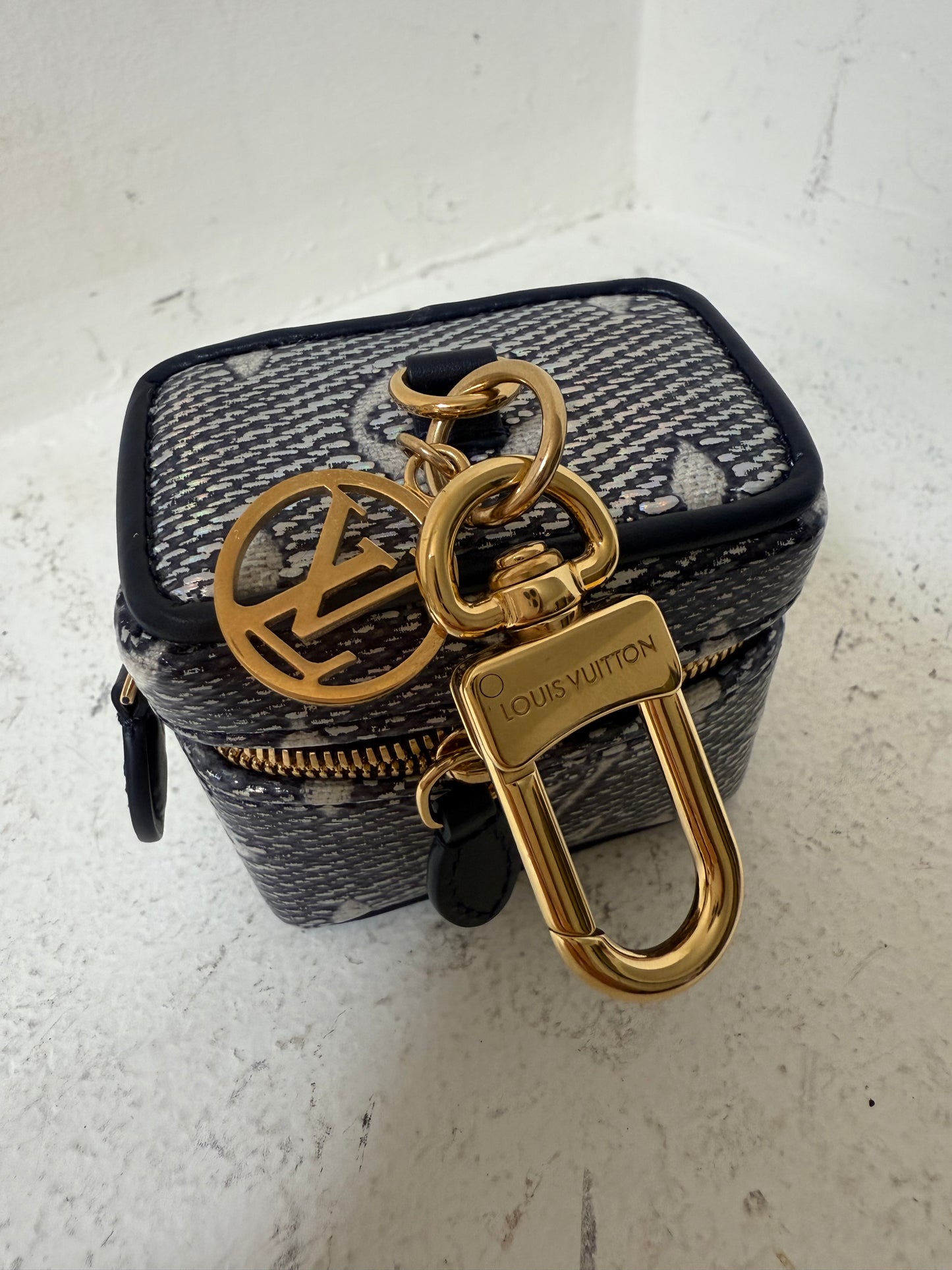 Louis vuitton EarPod case new