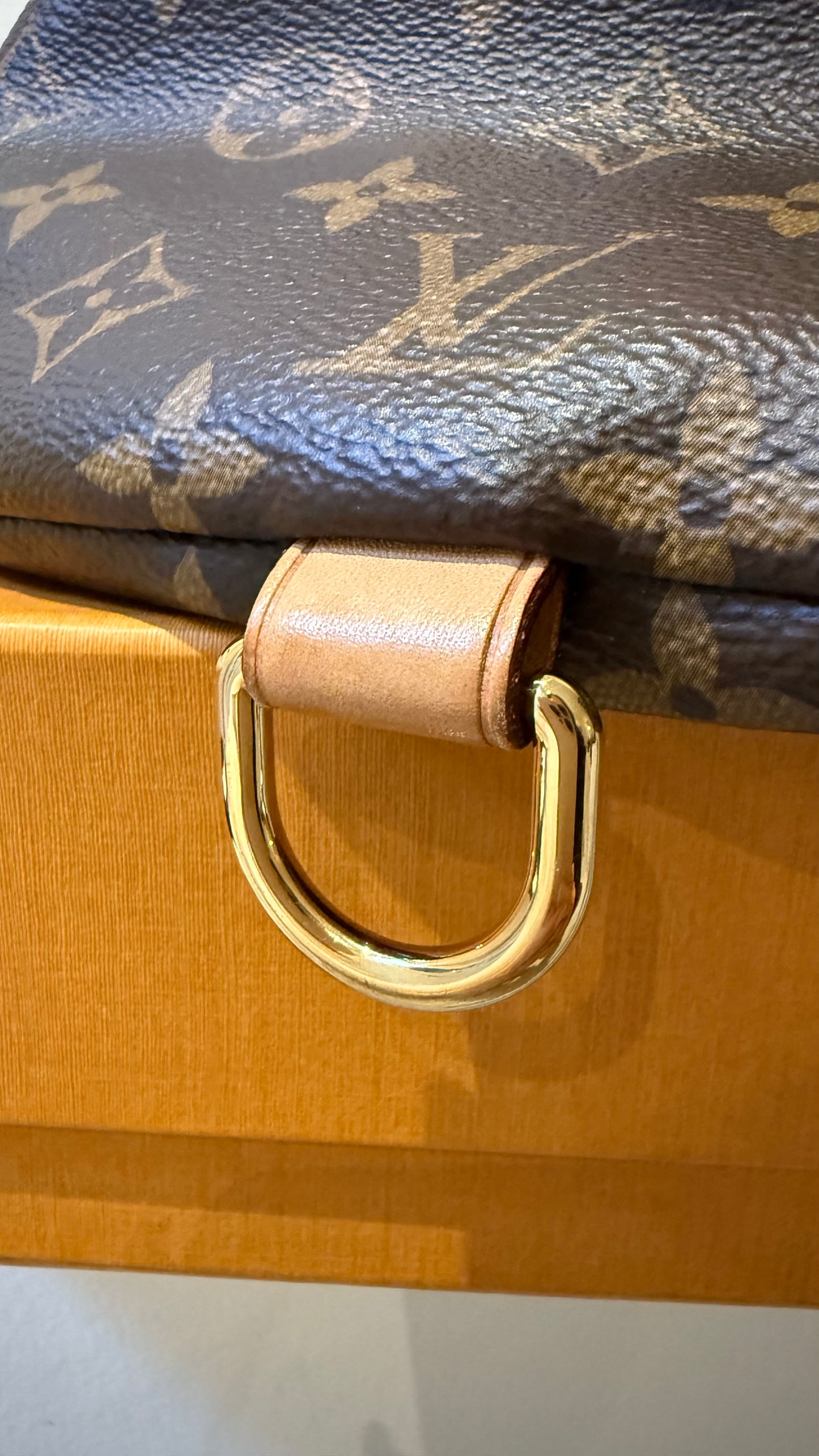 Louis vuitton Bumbag