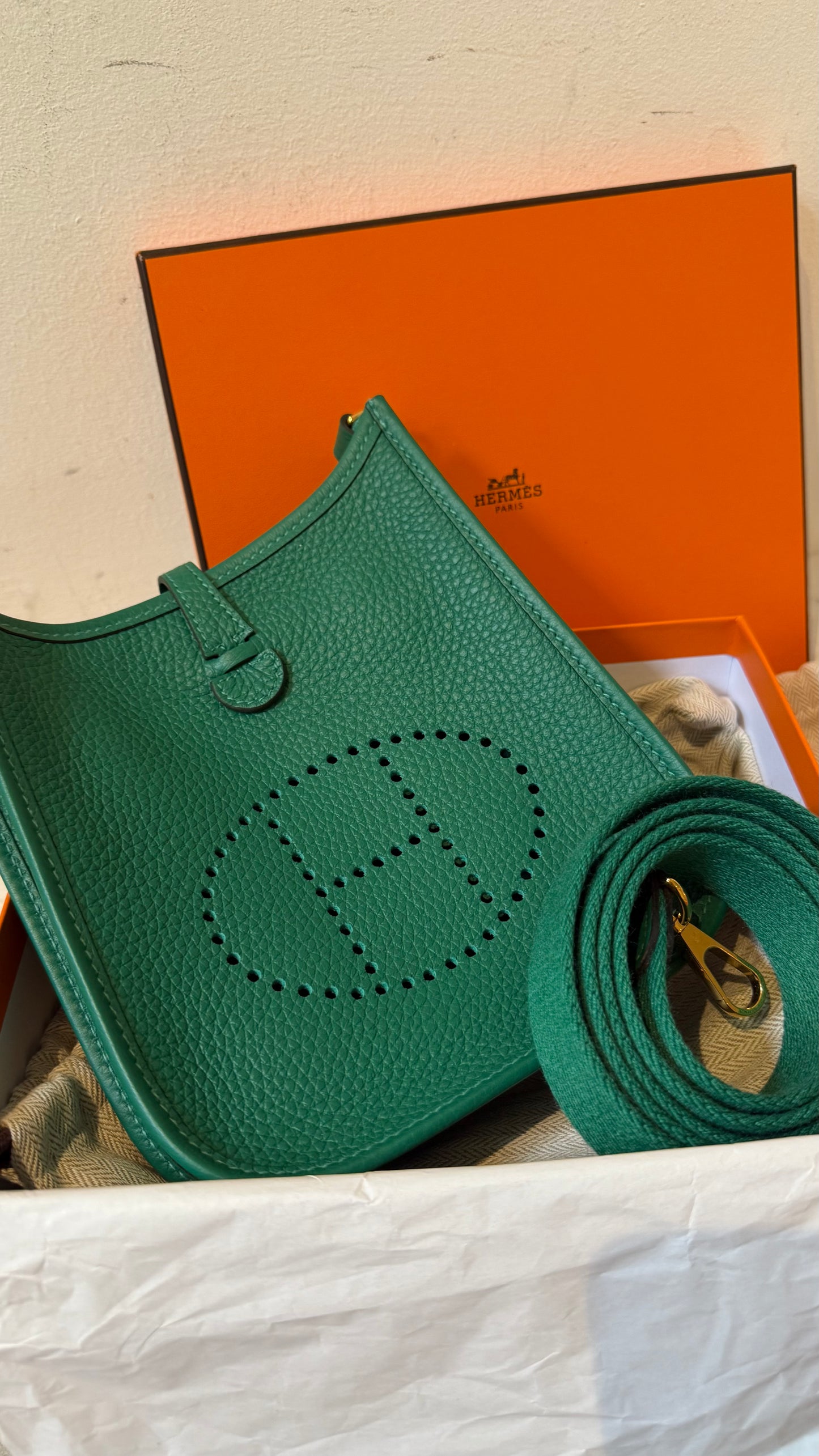 Hermes mini Evelyne vert vertigo
