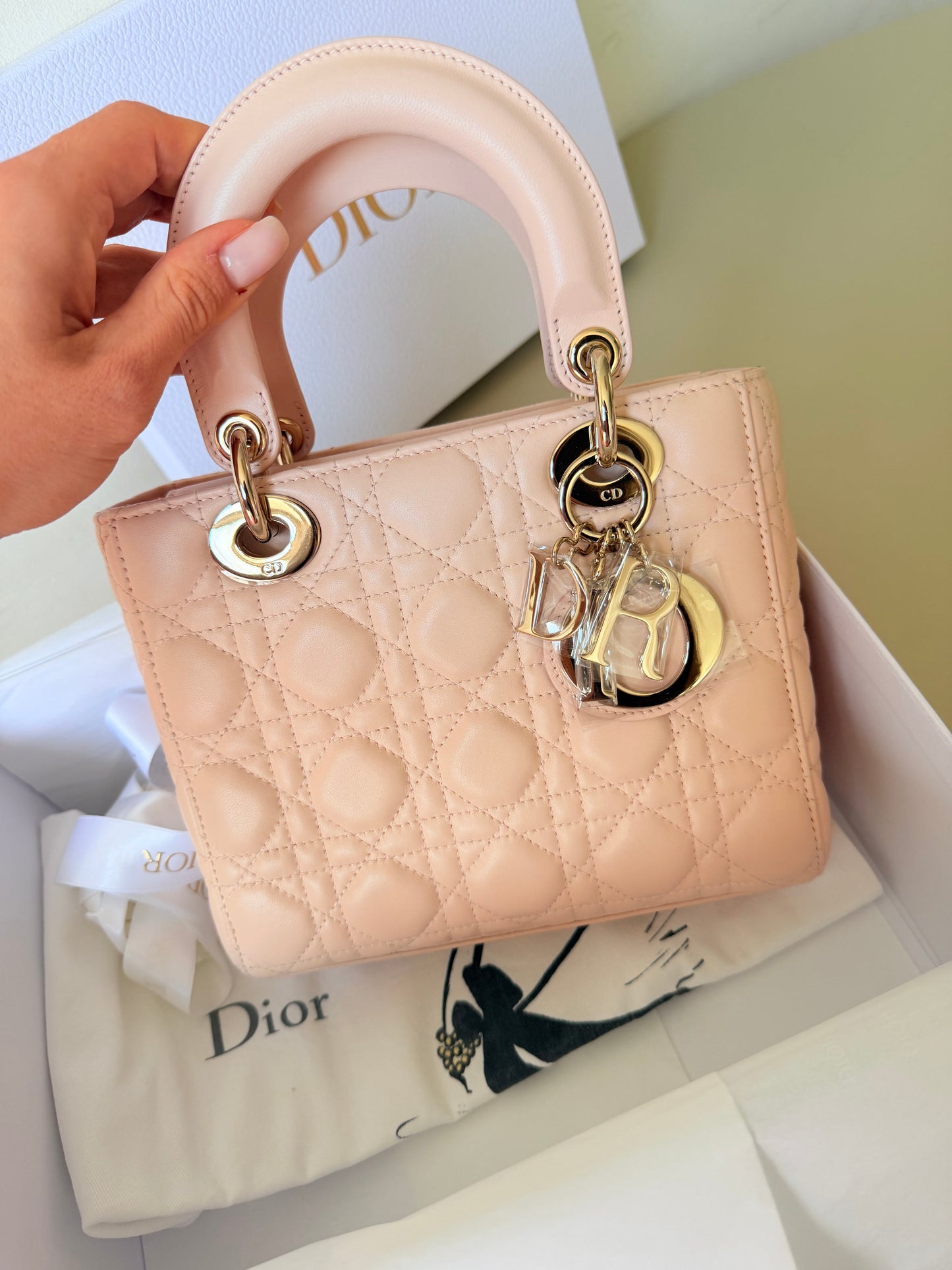 Small baby pink lady dior new condition