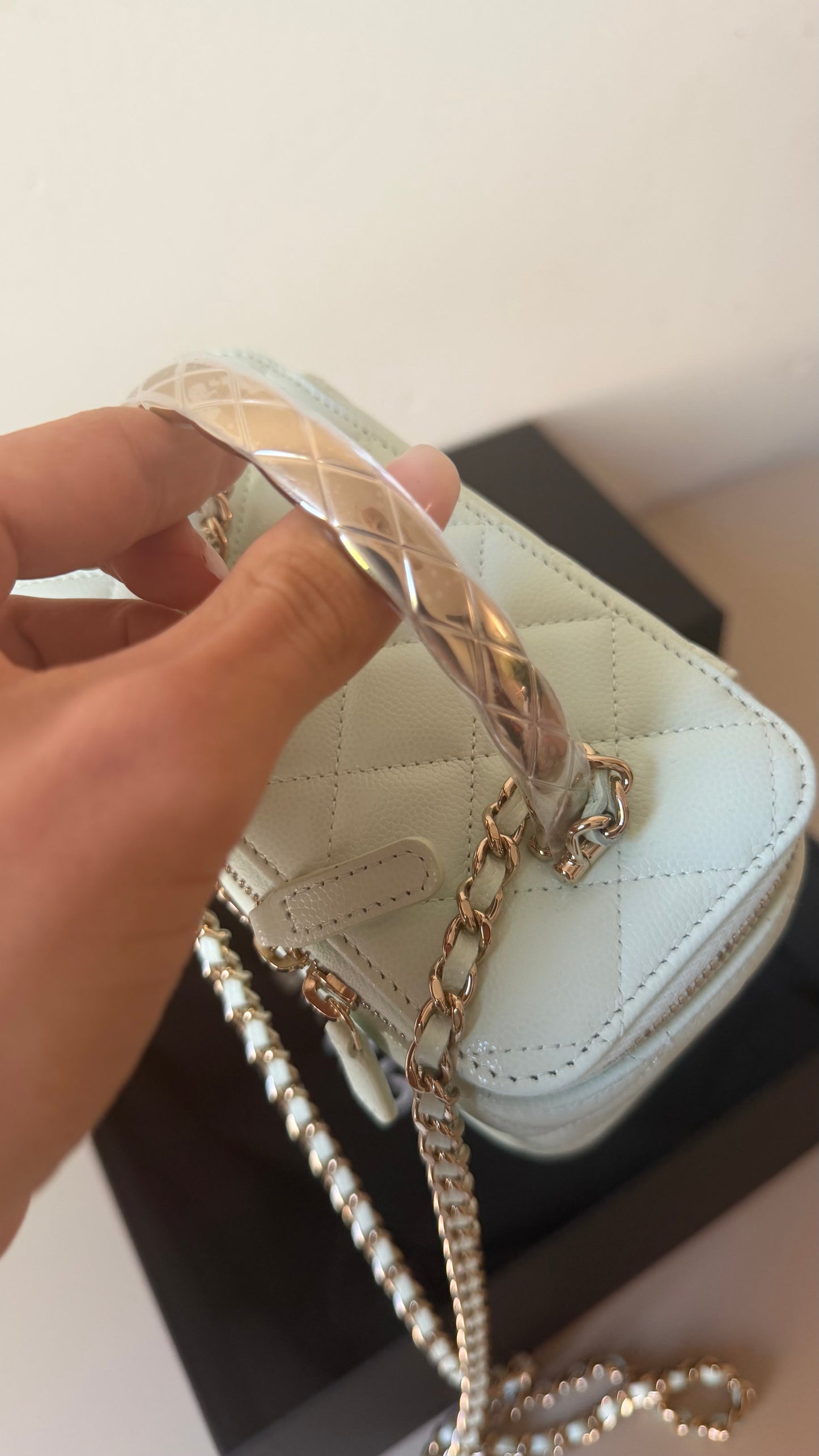 Chanel mint green caviar vanity case