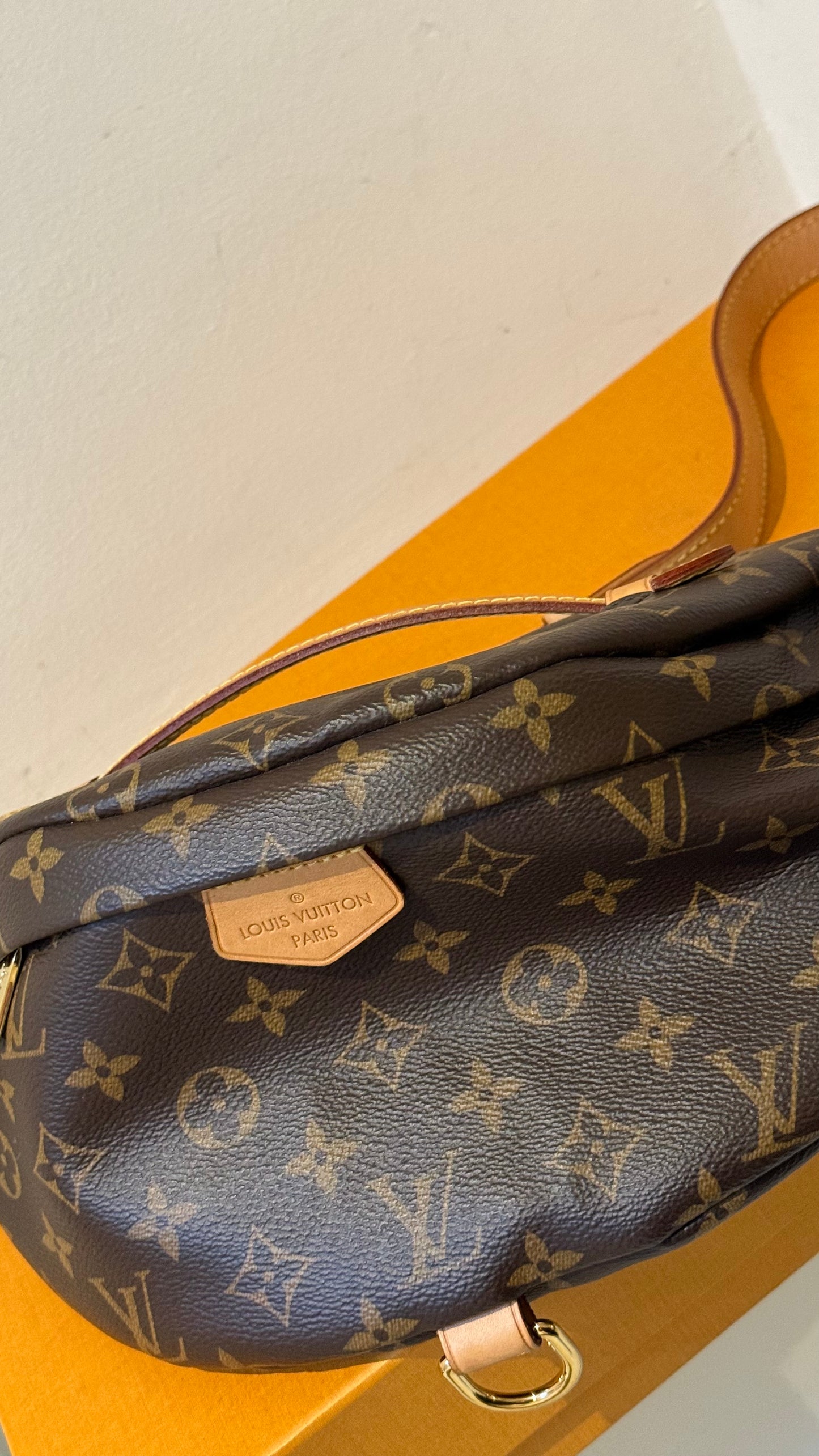 Louis vuitton Bumbag