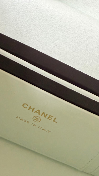 Chanel vanity mint green croco embossed print