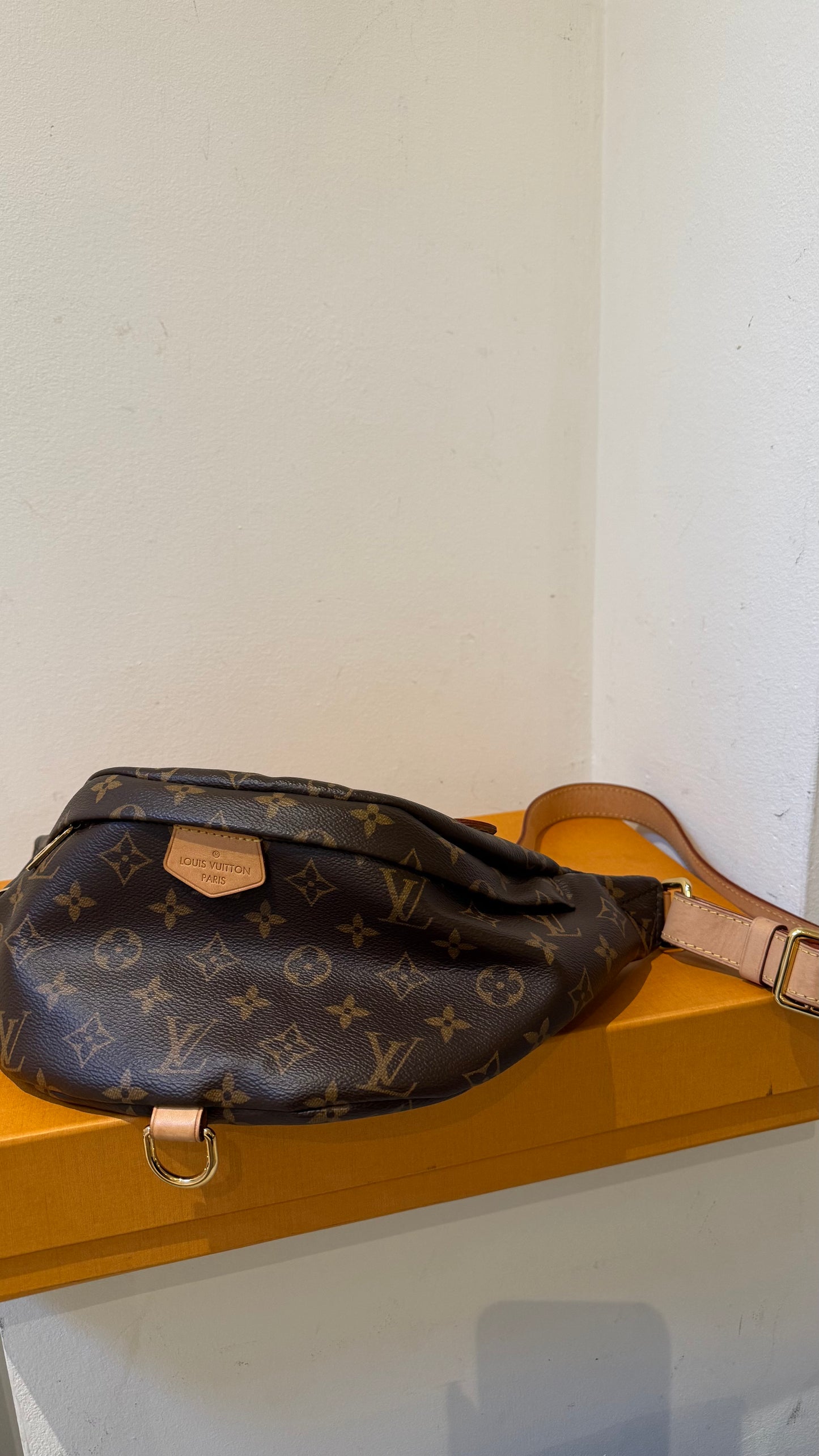 Louis vuitton Bumbag